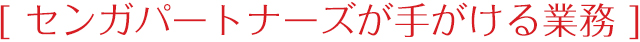 センガパートナーズが手がける業務